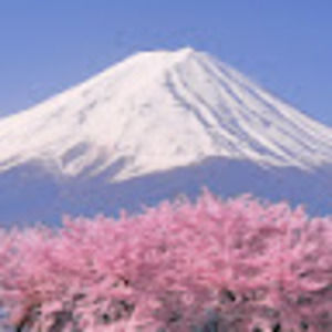 Meet your Posher, May